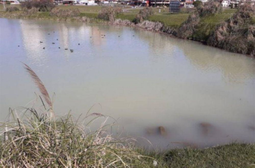 El Concejo Deliberante evaluar elevar un reclamo a la Administracin de Punta Mogotes por nueva contaminacin en la laguna