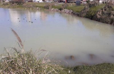 El Concejo Deliberante evaluar� elevar un reclamo a la Administraci�n de Punta Mogotes por nueva contaminaci�n en la laguna