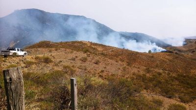 Bomberos trabajaron sobre un incendio activo y monitorearon otros puntos calientes