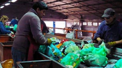 Instan a reforzar la costumbre del reciclaje hogare�o en Mar del Plata