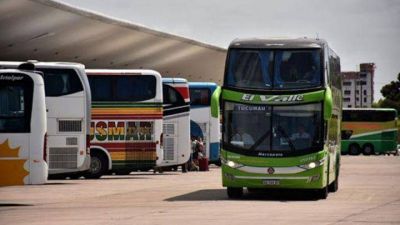 Micros de media y larga distancia tambi�n volver�n a circular proximamente
