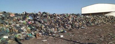 Nuevo delito ambiental que comete el Municipio de Z�rate con otro basural clandestino es denunciado por vecinos
