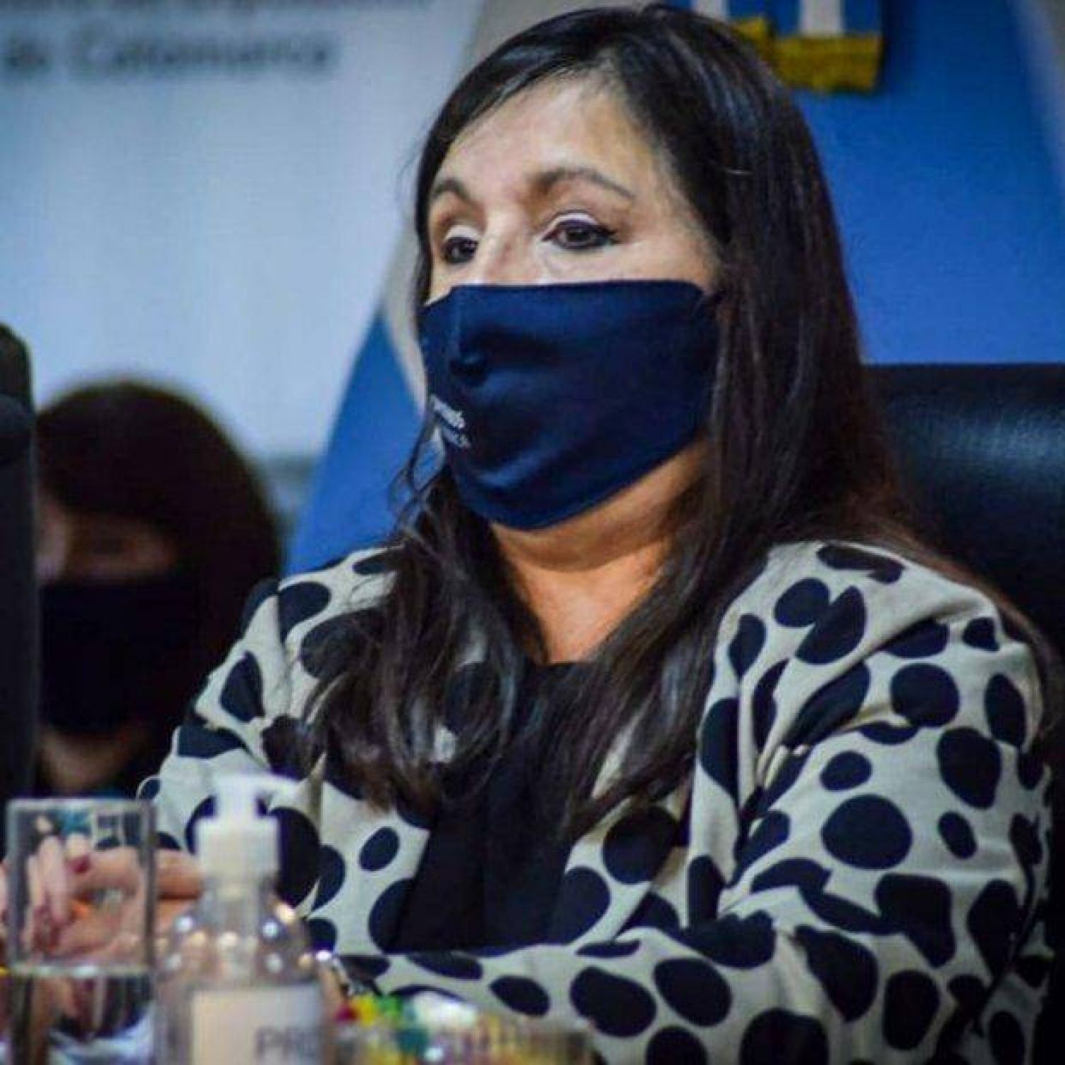 Cecilia Guerrero Salió A Cruzar A Tiago Puente Por La Falta De Quórum