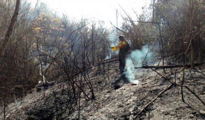 Los incendios forestales ya afectaron a m�s de 7.700 hect�reas en las Yungas
