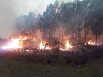 No se registran focos de incendio en la provincia