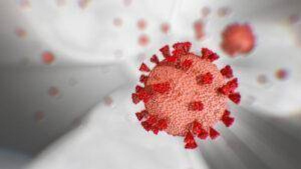Coln: Jueves con 18 casos de coronavirus positivos