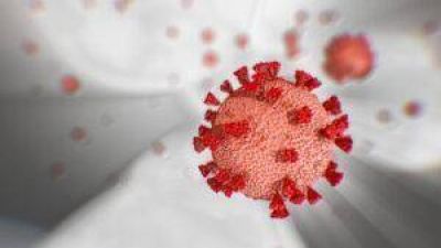 Col�n: Jueves con 18 casos de coronavirus positivos