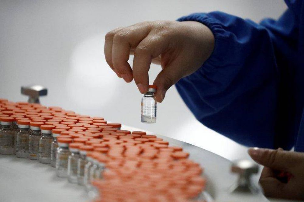 La vacuna contra el COVID-19 podr�a matar a medio mill�n de tiburones