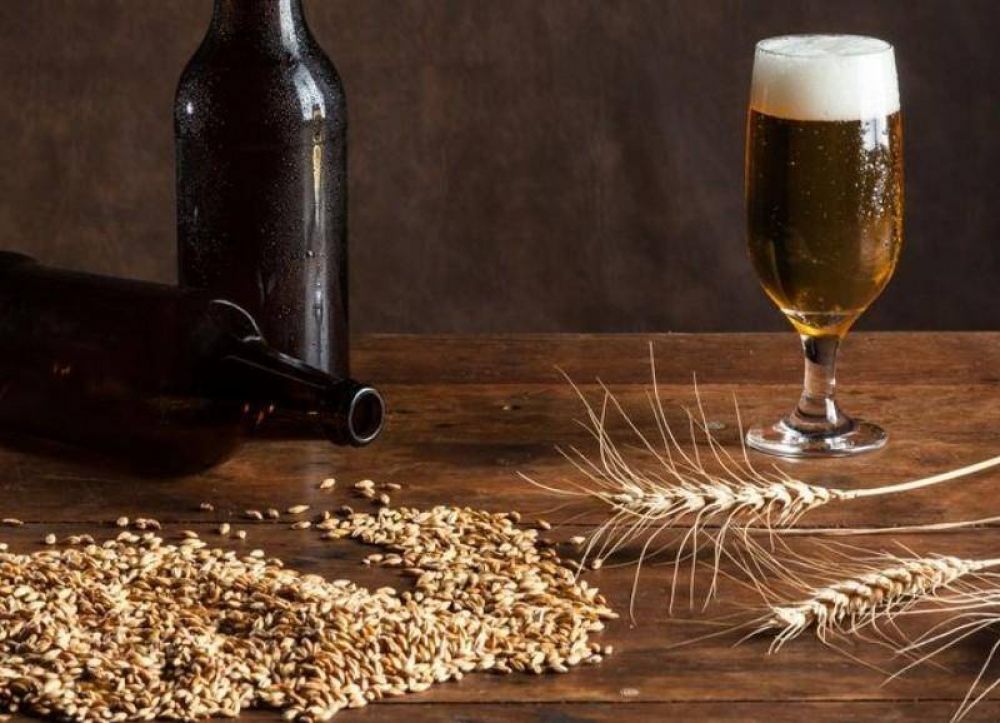 Se aprob la ordenanza PUPAs: Habilitacin que incorpora a viateros y cerveceros locales