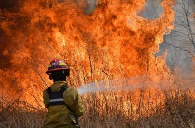 La mano del hombre caus� la mayor�a de las 600 intervenciones por incendios en Salta