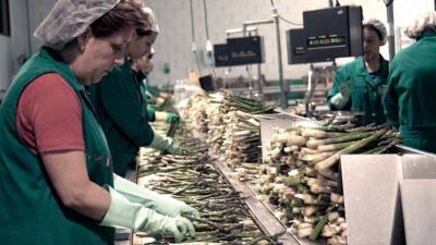 Provincia cre� un programa de capacitaci�n laboral con perspectiva de g�nero