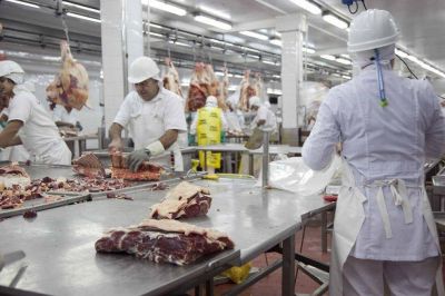 Un frigor�fico cordob�s comenz� a exportar carne de cabra a Sri Lanka