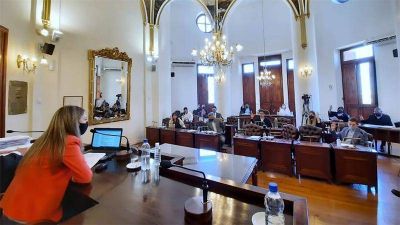 Decks gastron�micos y desguace de veh�culos, los proyectos aprobados en el HCD