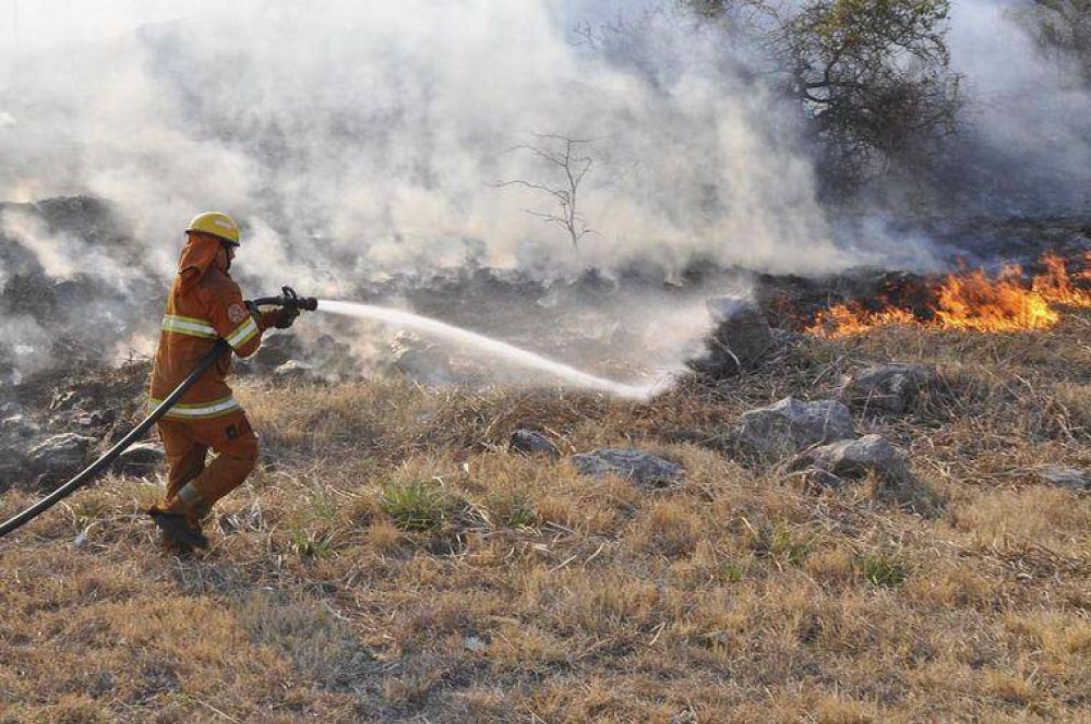 Se reactiv el incendio forestal en San Pedro Norte
