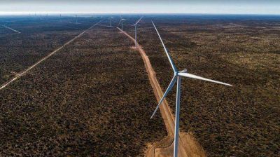 Sustentabilidad y competitividad: las dos caras de la moneda renovable