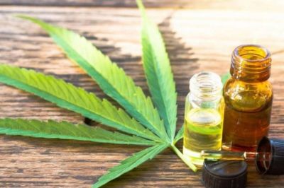 Mendoza, a un paso de aprobar la producci�n y venta del cannabis medicinal