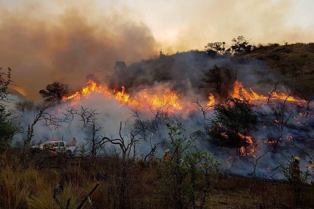 Nacin homolog la emergencia agropecuaria en Crdoba por los incendios