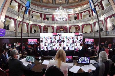 Elecciones 2021: cmo tener mayora en el Senado
