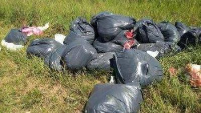 Vecinos del barrio Hipódromo denuncian que arrojan residuos patogénicos