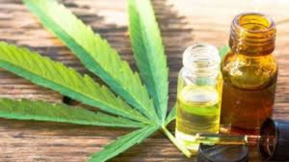 La Legislatura regular� el uso de cannabis medicinal