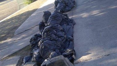 Se sacan 200 bolsas diarias de basura del lago desde hace 19 d�as