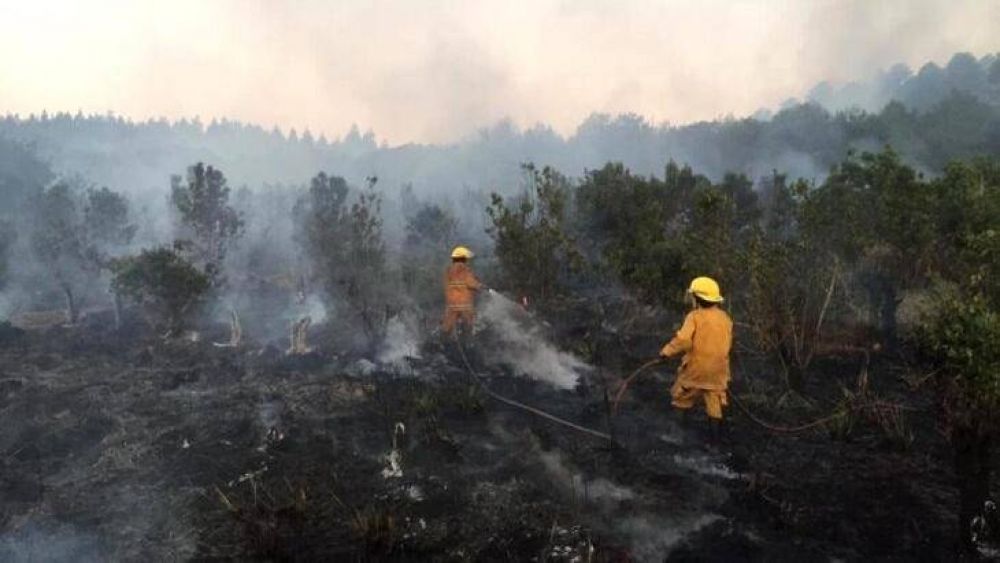 Quemas ilegales en Misiones: A pesar de que rige la prohibicin de usar el fuego frente a las condiciones climticas extremas, hay irresponsables que siguen quemando