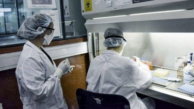Otras 213 personas murieron y 8.037 fueron diagnosticadas con coronavirus en el pa�s
