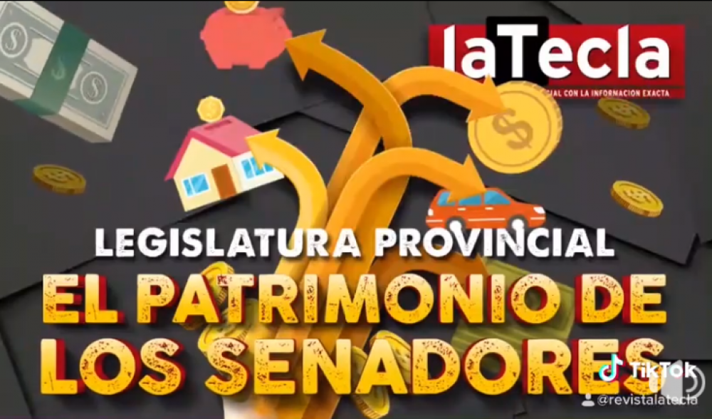 El patrimonio de los senadores