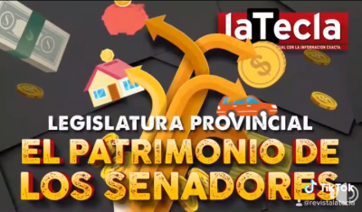 El patrimonio de los senadores