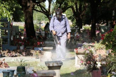 El Municipio de Brown profundiza los trabajos de prevenci�n del dengue