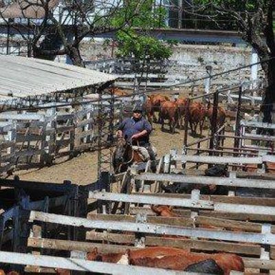 El Mercado de Hacienda debe dejar la Ciudad a fin de a�o, pero el predio al que se mudar� a�n no est� listo
