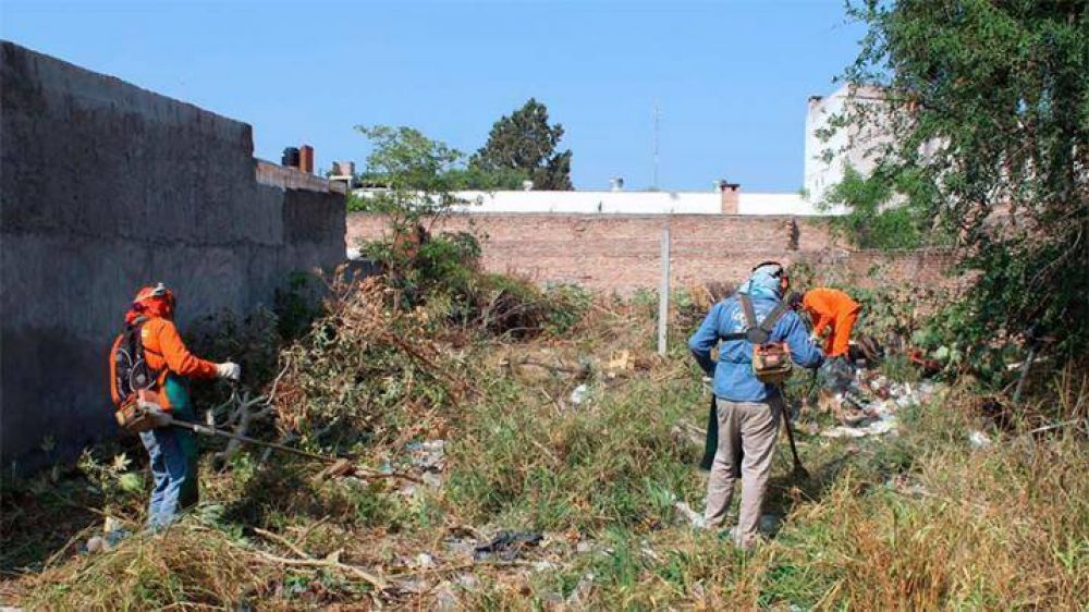 El municipio ejecut un nuevo operativo de limpieza en un terreno privado del B Villa Eloisa