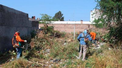 El municipio ejecut� un nuevo operativo de limpieza en un terreno privado del B� Villa Eloisa