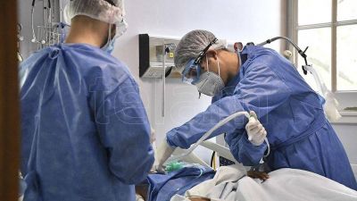 Otras 262 personas murieron y 8.468 fueron diagnosticadas con coronavirus en el pa�s