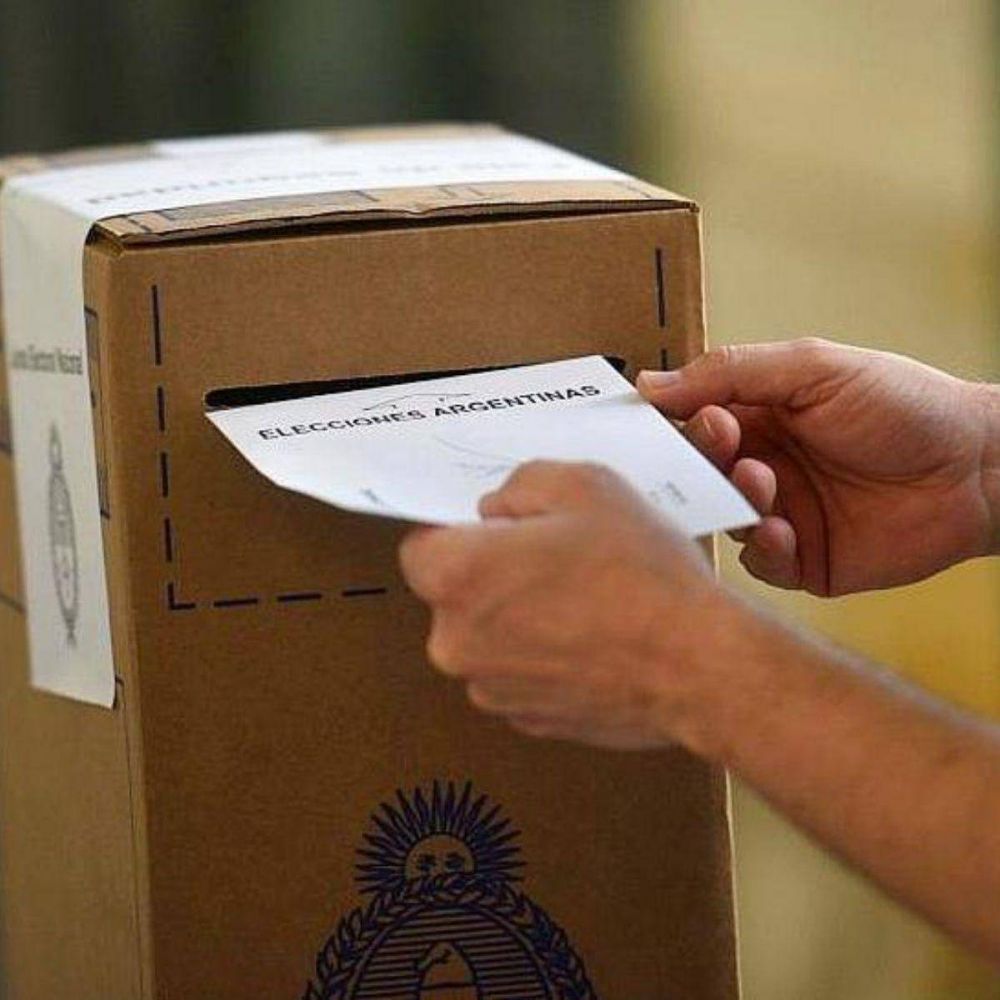 Votar una sola vez: El kirchnerismo pidi unificar las elecciones en Salta