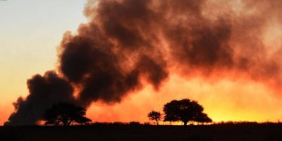 En La Pampa por la sequ�a hay 4,6 millones de hect�reas en riesgo de incendio