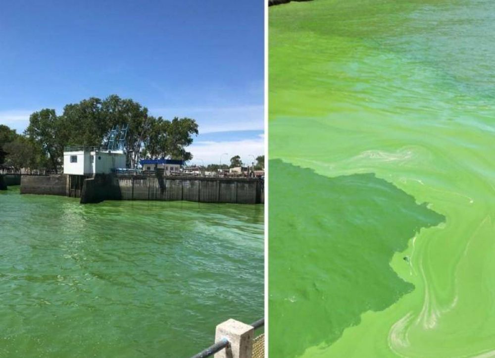 ABSA suspendi el envo de agua ante la inusual presencia de algas