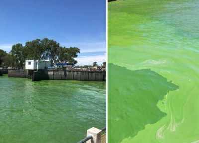 ABSA suspendi� el env�o de agua ante la inusual presencia de algas