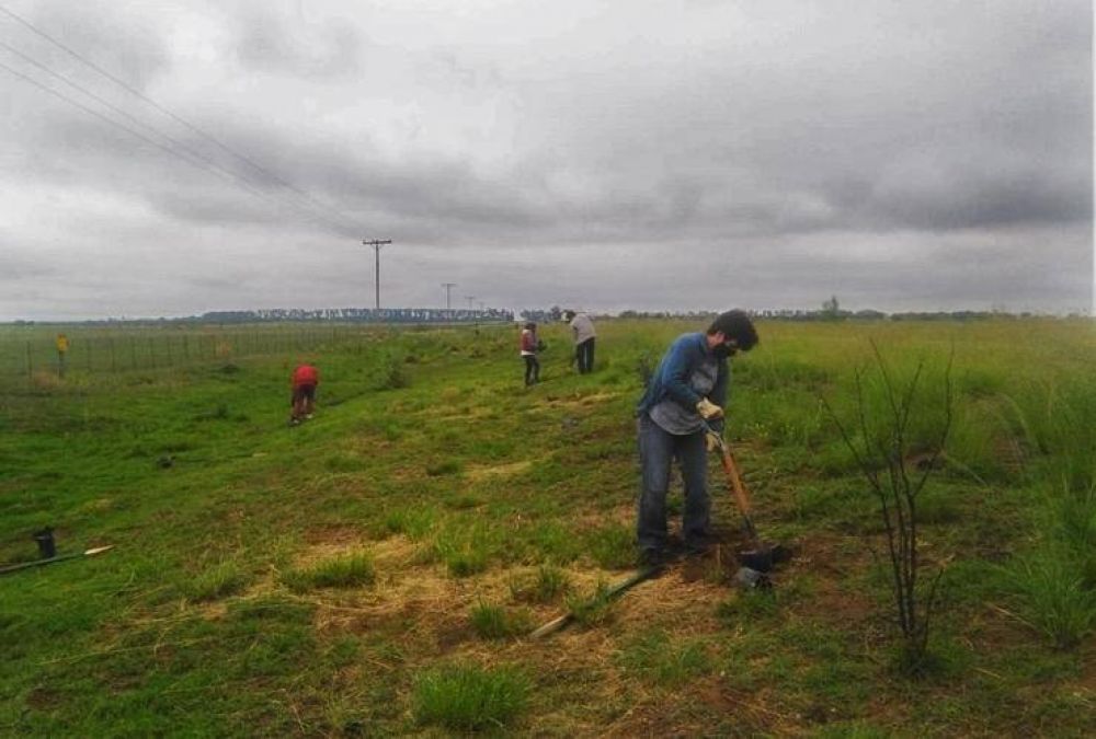 Natalia Spinuzza: Plantaremos ms de 50 mil rboles en la Cuenca del Morro para mitigar el desbalance hdrico de la zona
