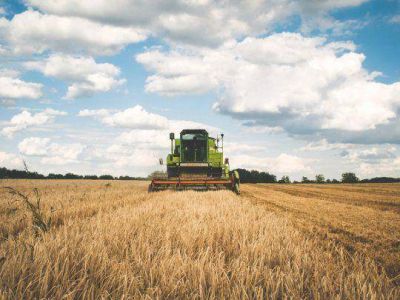 Campo: Gobierno avanza con medidas para simplificar exportaciones