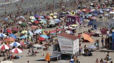 Manifiestan su preocupaci�n por la falta de cuidados y controles del municipio