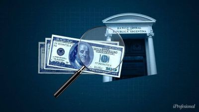 Alberto Fern�ndez y Guzm�n apuestan a los d�lares de la soja: �podr� posponerse o evitarse una devaluaci�n?
