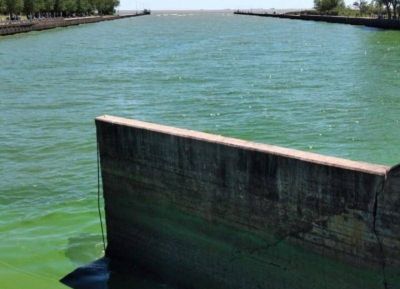 Toxinas en el agua: desde el Municipio informaron que est� trabajando sobre el tema