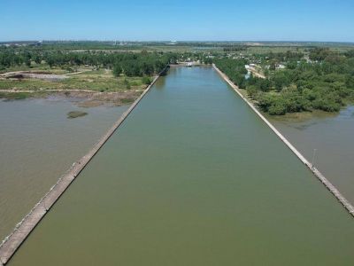 Cianobacterias: toman nuevas muestras del R�o de la Plata para evaluar la toxicidad del agua