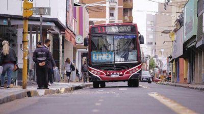 Colectivos: 