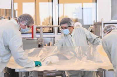 Un f�rmaco oral logra eliminar por completo la transmisi�n del coronavirus en 24 horas