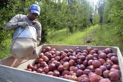 �Por qu� los buenos precios de las frutas no llegan a los productores?