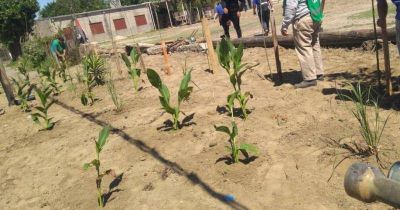 Clausuran basurales y crean nuevos espacios verdes en Lomas 