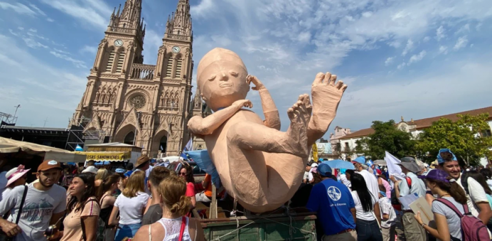 Aborto: Por qu� el proyecto promueve su legalidad 