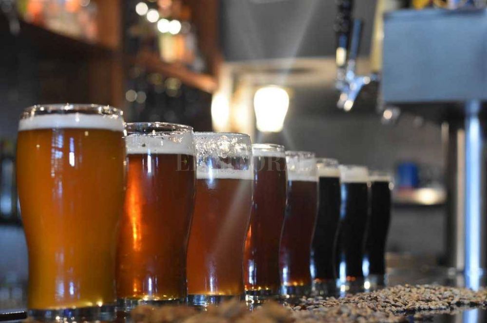 Fiorini propuso modificaciones a la ley que regula la actividad de bares y cerveceras